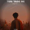 About Teri Yado Me Song