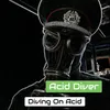 About Diving On Acid Song