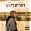 What It Cost