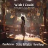 About Wish I Could Song