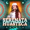 About Serenata Huasteca Song