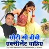 About Chhoti Si Bibi Excellent Chahiye Song