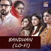 About Bandhan (Lo-Fi) Song