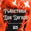 About Planetaria Sua Safada Song