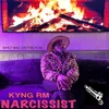 About Narcissist Song