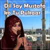 Dil Say Mustafa ko Tu Pukaar