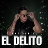 About El delito Song