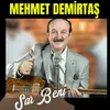 About Sar Beni Song