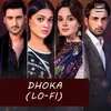 About Dhoka (Lo-Fi) Song