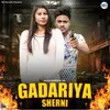 About Gadariya Sherni Song