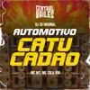 About Automotivo Catucadão Song