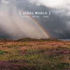 About Ideal World Song