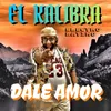 About Dale Amor Song