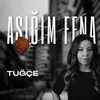 About Aşığım Fena Song