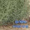 About ערכי החיים Song