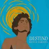 About Destino Song