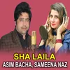 About Sha Laila Song