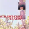 About Strawberry Season Song