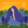 About Rio de Lágrimas Song