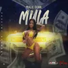 About Mula Song