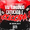 About Vai Tomando Catucada e Colocada Song