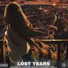 About LOST TEARS Song