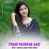 About Pyaar Pajokab Aagi Song