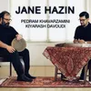 About Jane Hazin Song