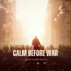 About Calm Before War Song