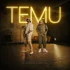 About Temu Song