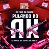 About Pulando No AK Song