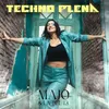 About Techno Plena Song