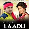 About Laadli Song