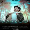 About Aarzoo Song