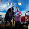 About Feem Song