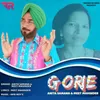 About Gorie Song