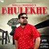 About Bhulekhe Song