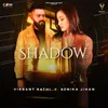 About Shadow Song