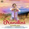 About Nandini Song