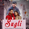 Sugli