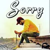 About Sorry Song