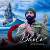 About Bhole Song