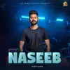 Naseeb