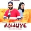 About ANJUYE Song