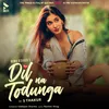About Dil Na Todunga Song