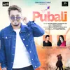 About Pubali Song