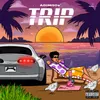 About TRIP Song