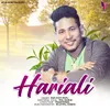 About Hariali Song