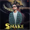 About Snake Song