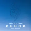 About PUHOR Song